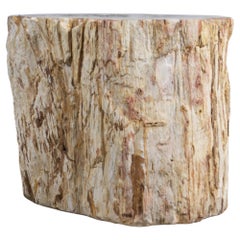 Petrified Bleached Organic Form Lychee Wood Side Table