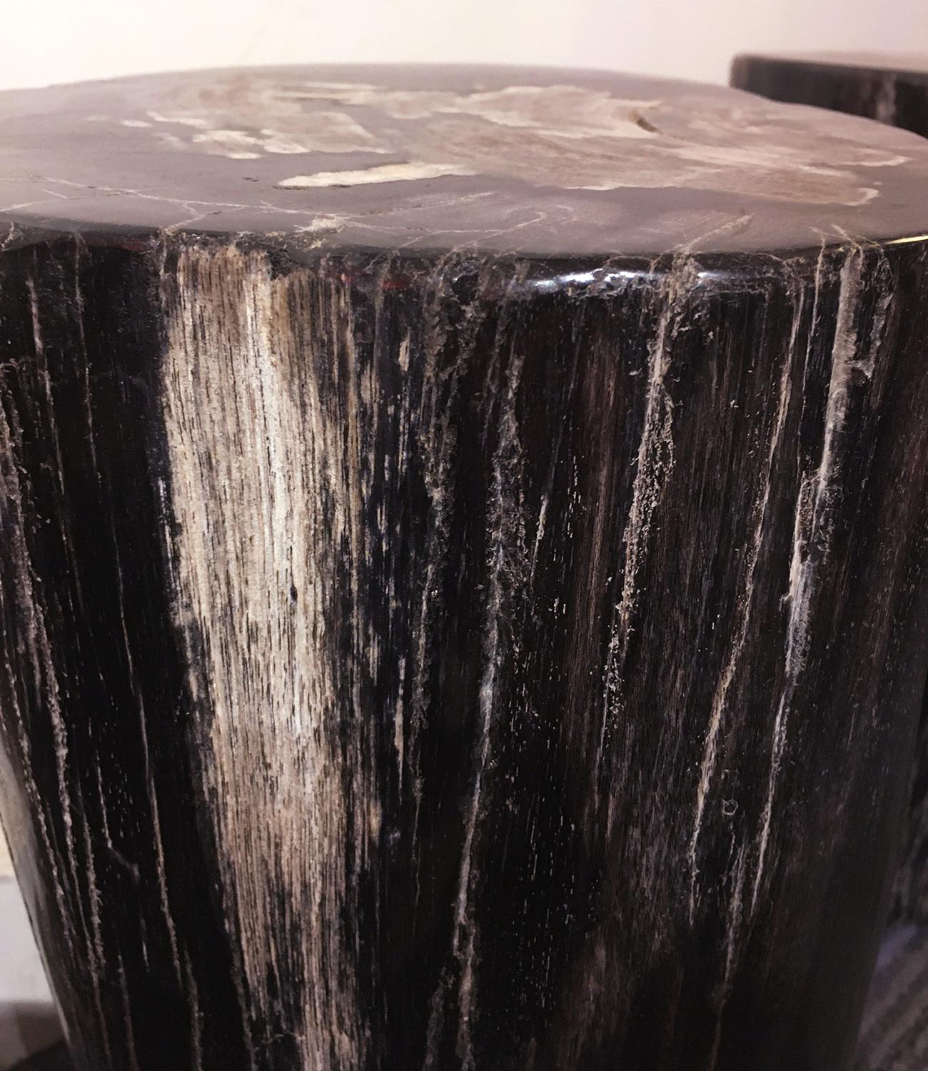 Petrified Dark Set of 2 Side Table For Sale 1