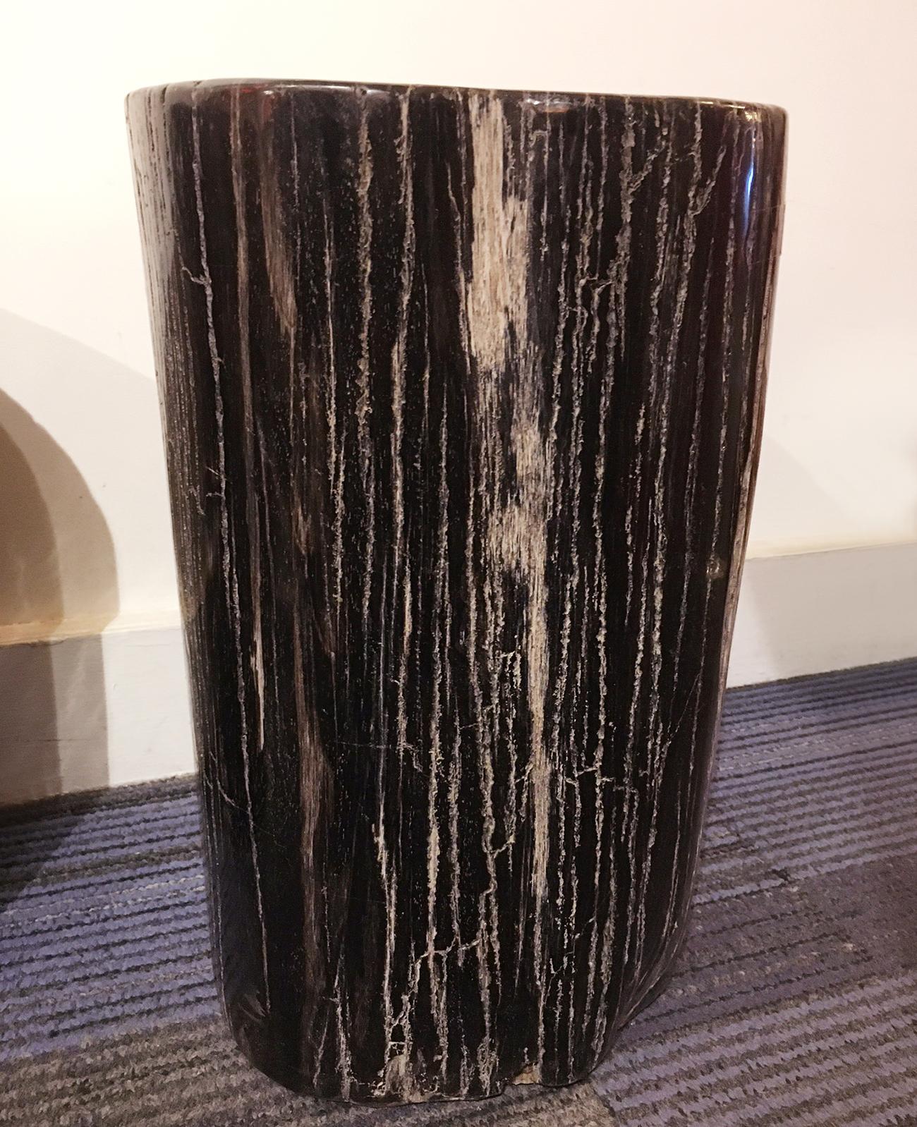 Petrified Dark Set of 2 Side Table For Sale 3