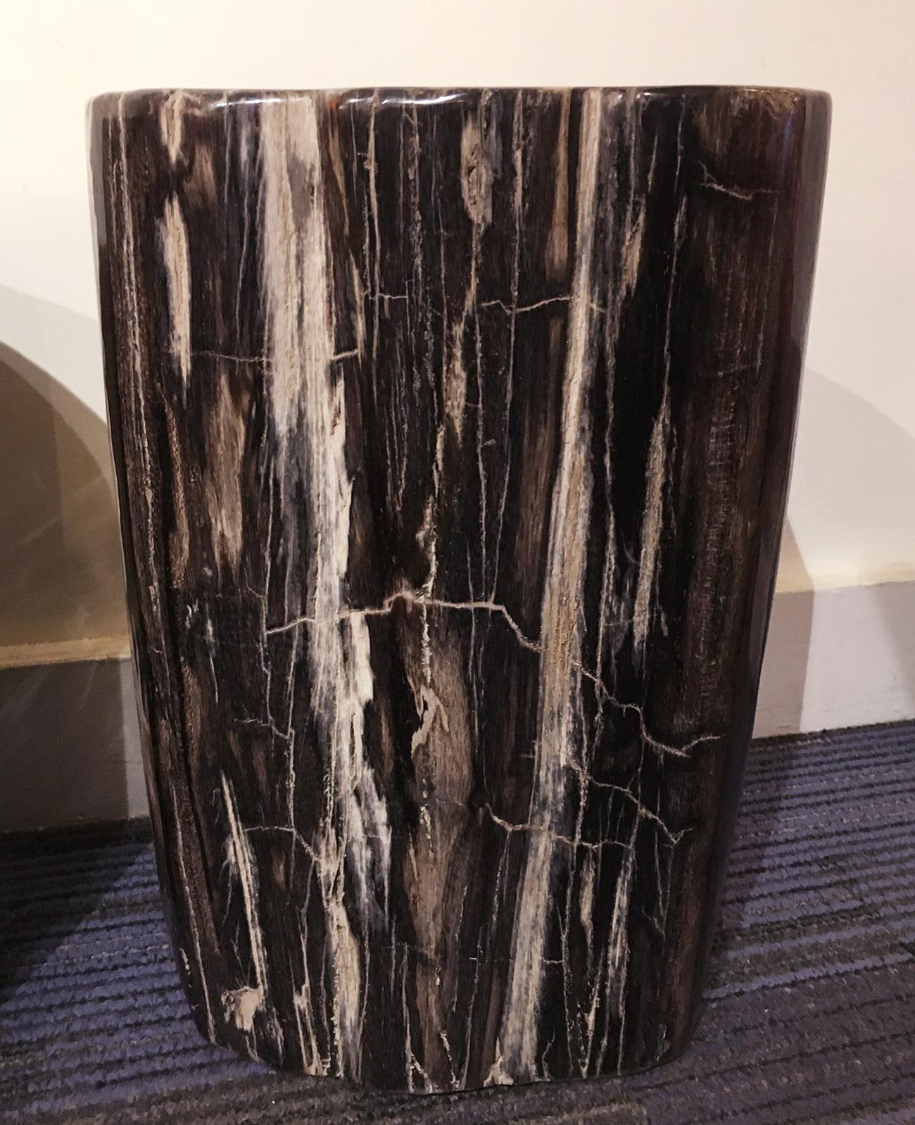 Petrified Dark Set of 2 Side Table For Sale 5