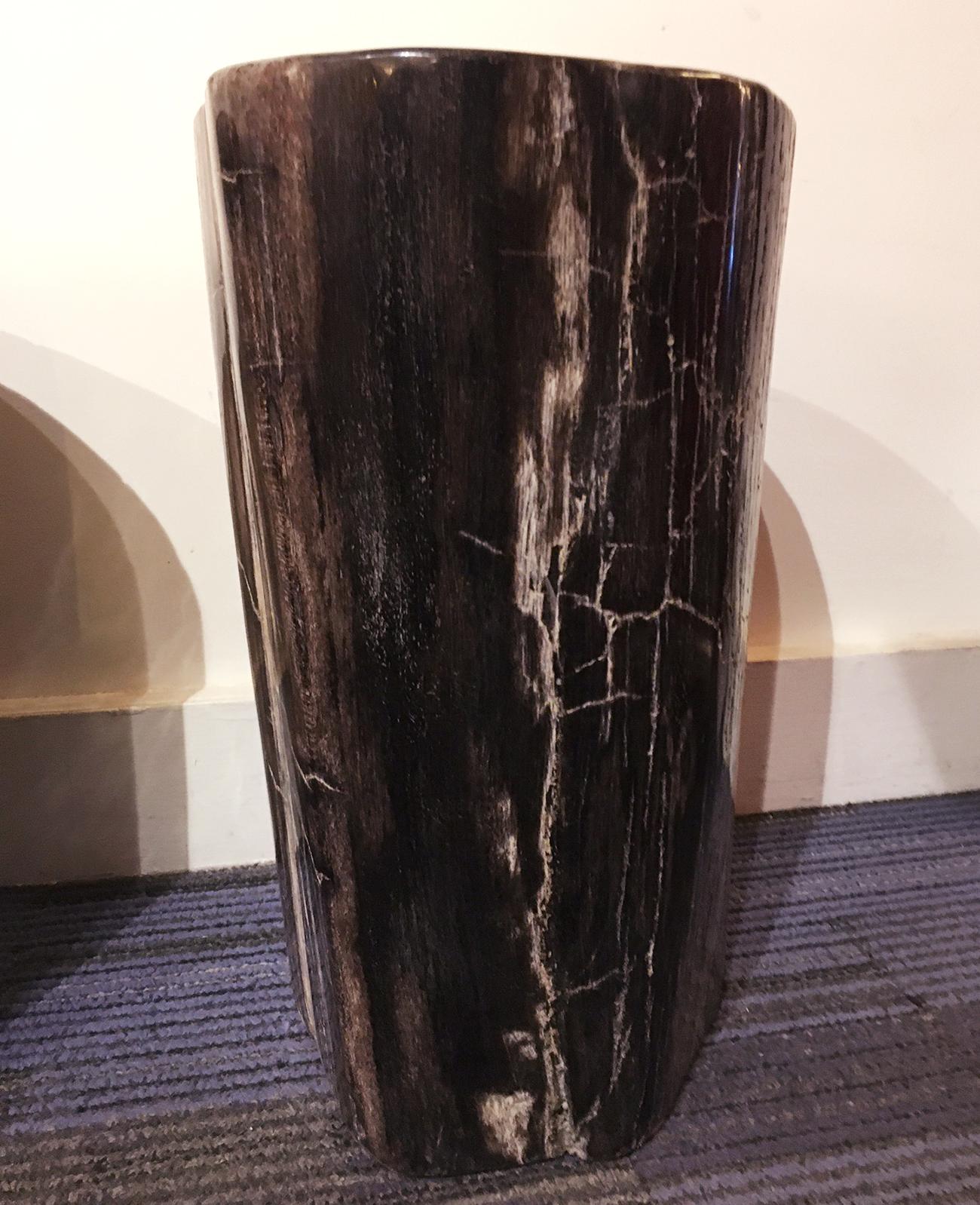 Petrified Dark Set of 2 Side Table For Sale 6