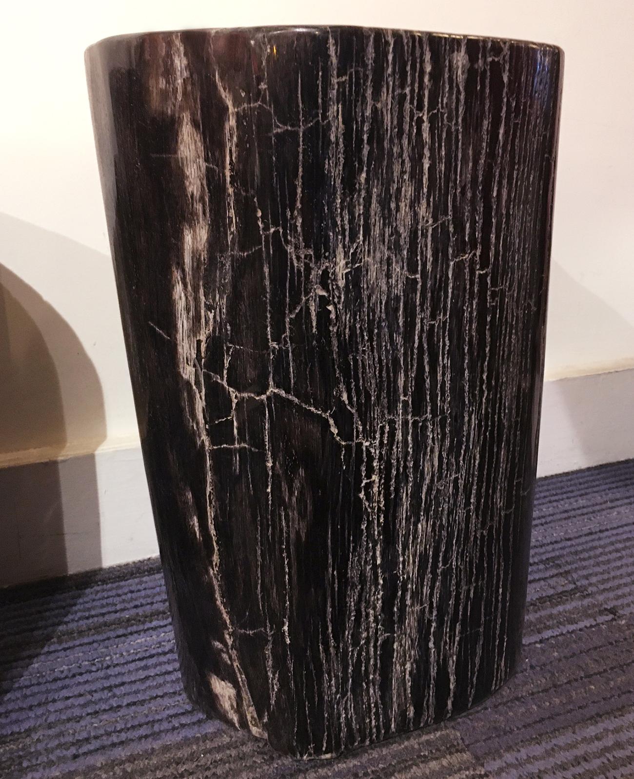 Petrified Dark Set of 2 Side Table For Sale 7