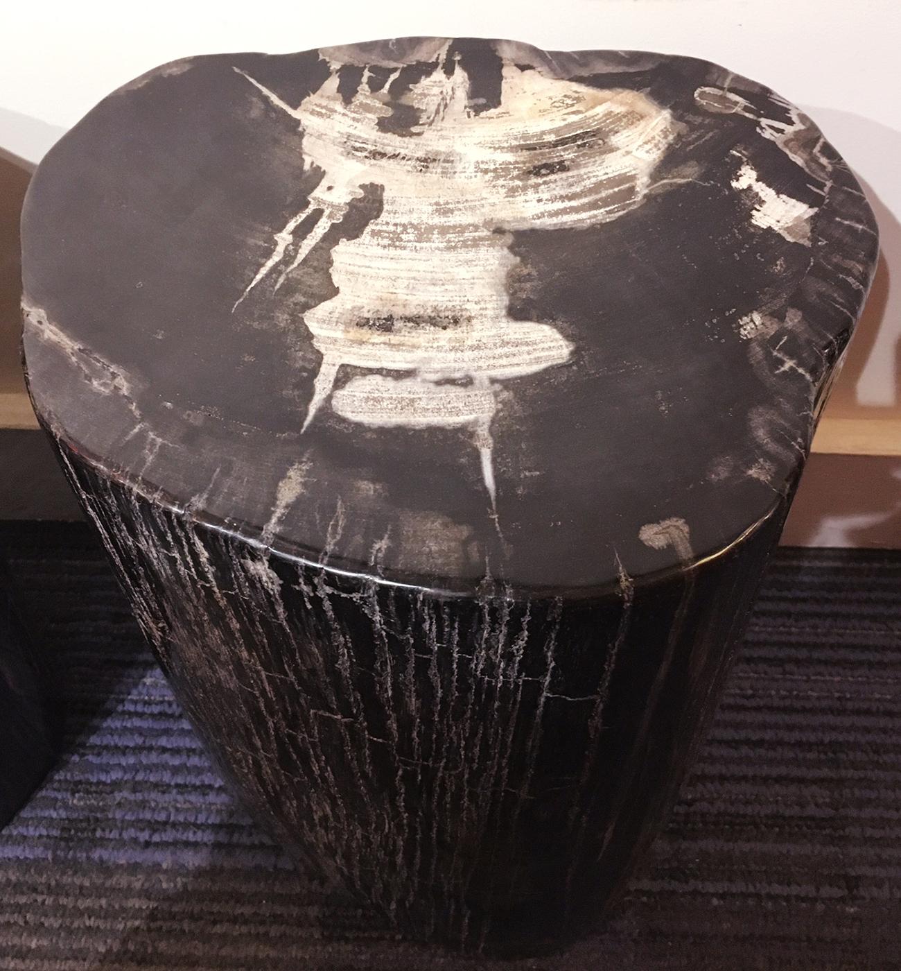 Petrified Dark Set of 2 Side Table For Sale 8
