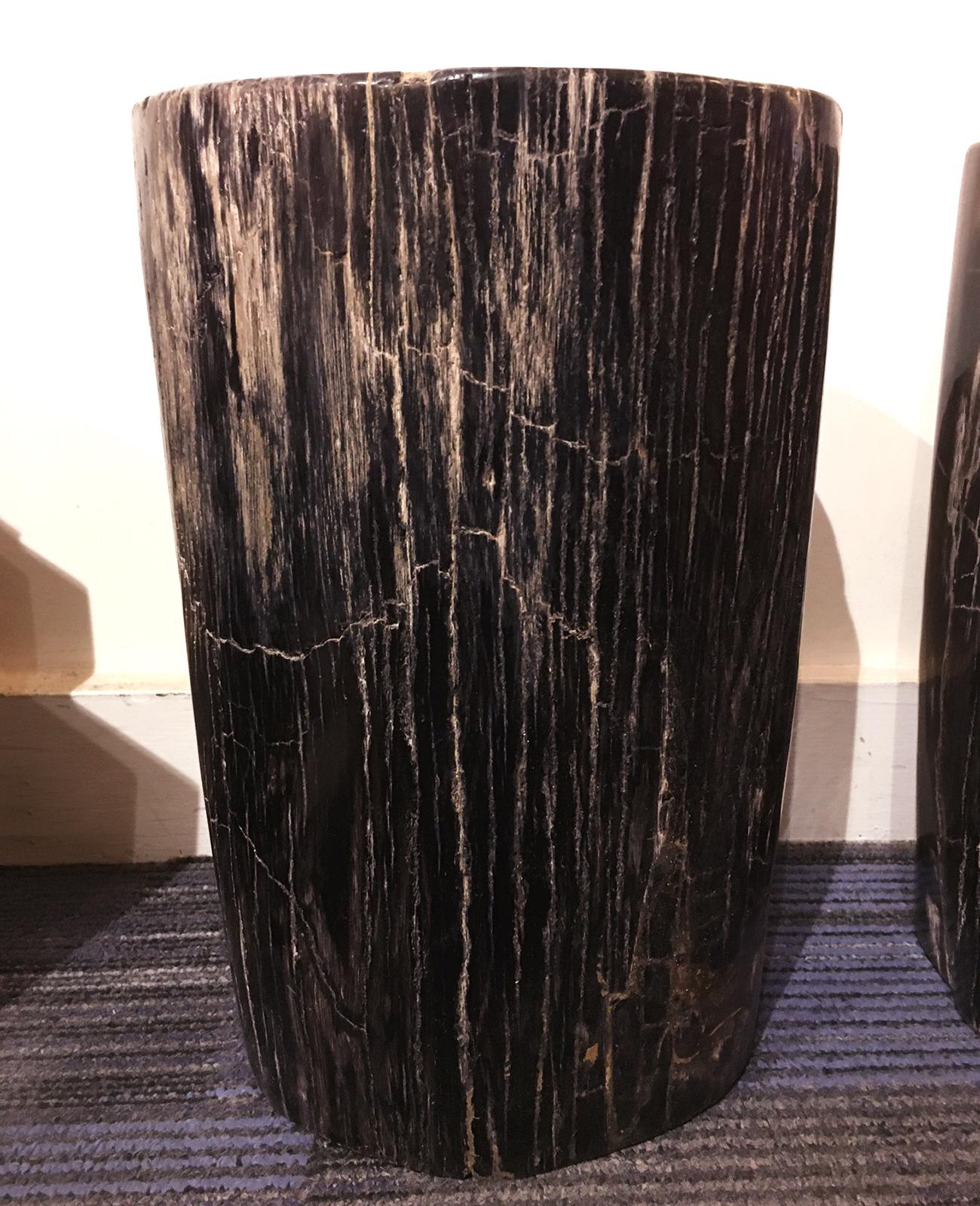 Indonesian Petrified Dark Set of 2 Side Table For Sale