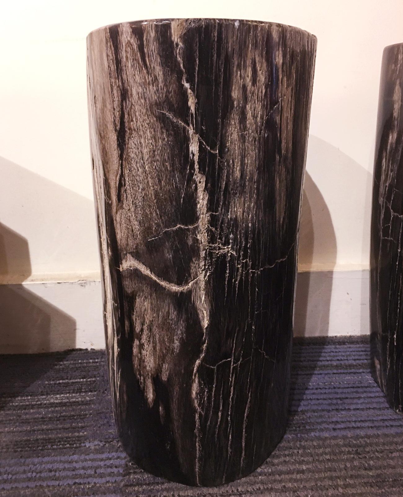Hand-Crafted Petrified Dark Set of 2 Side Table For Sale