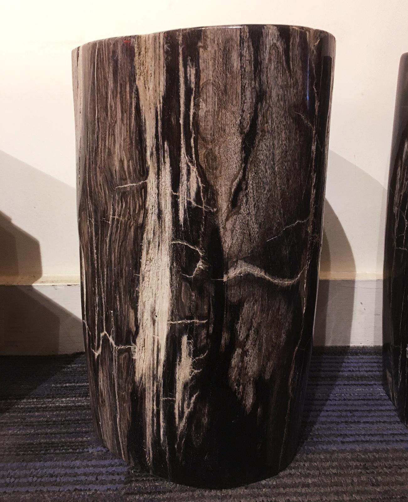 Petrified Dark Set of 2 Side Table In New Condition For Sale In Paris, FR