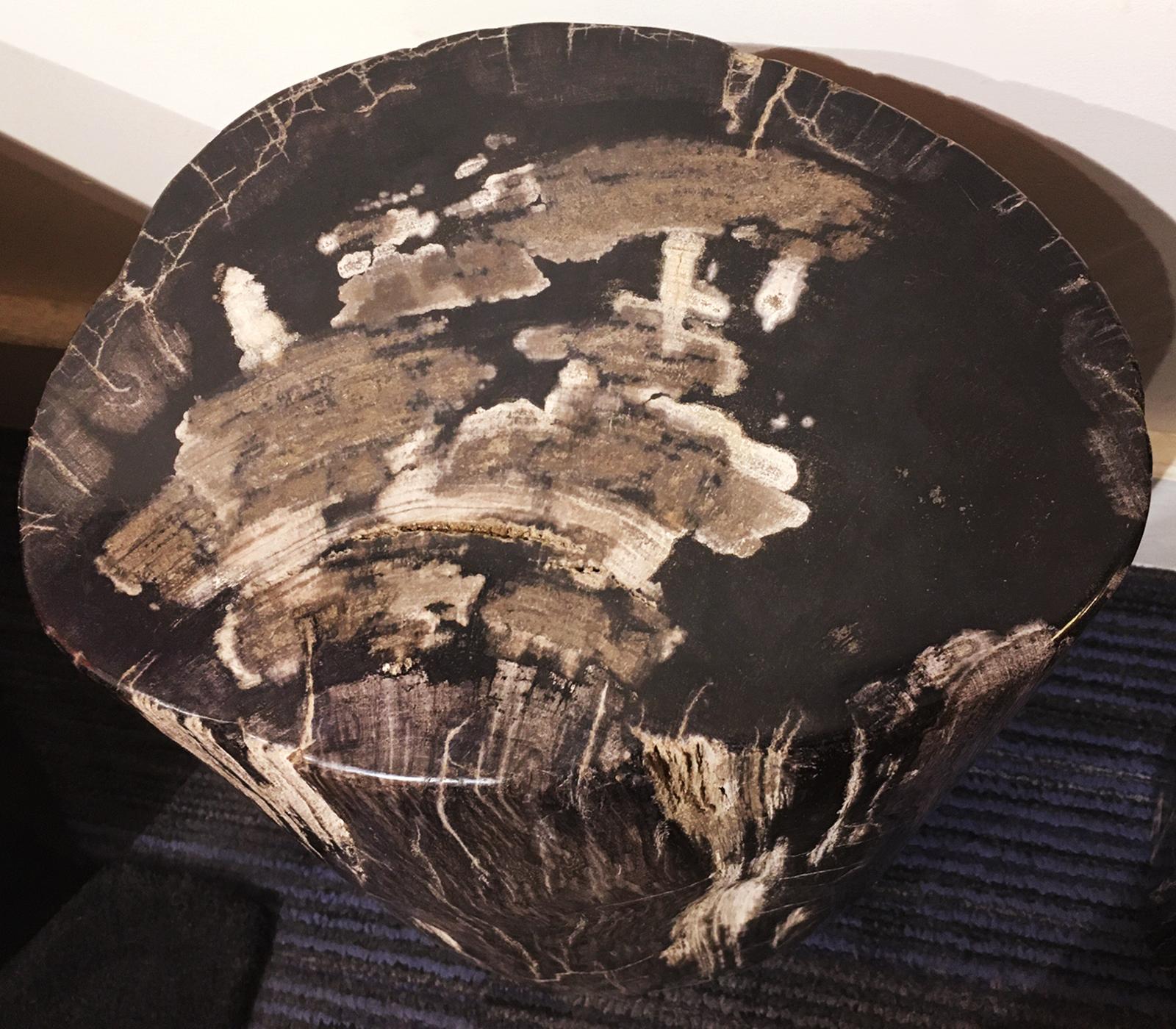 Contemporary Petrified Dark Set of 2 Side Table For Sale