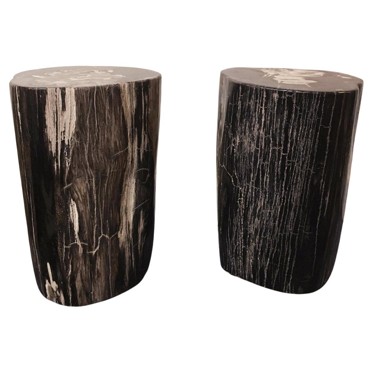 Petrified Dark Set of 2 Side Table For Sale