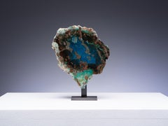 Petrified Fossil Colla Wood - Azurite & Malachite