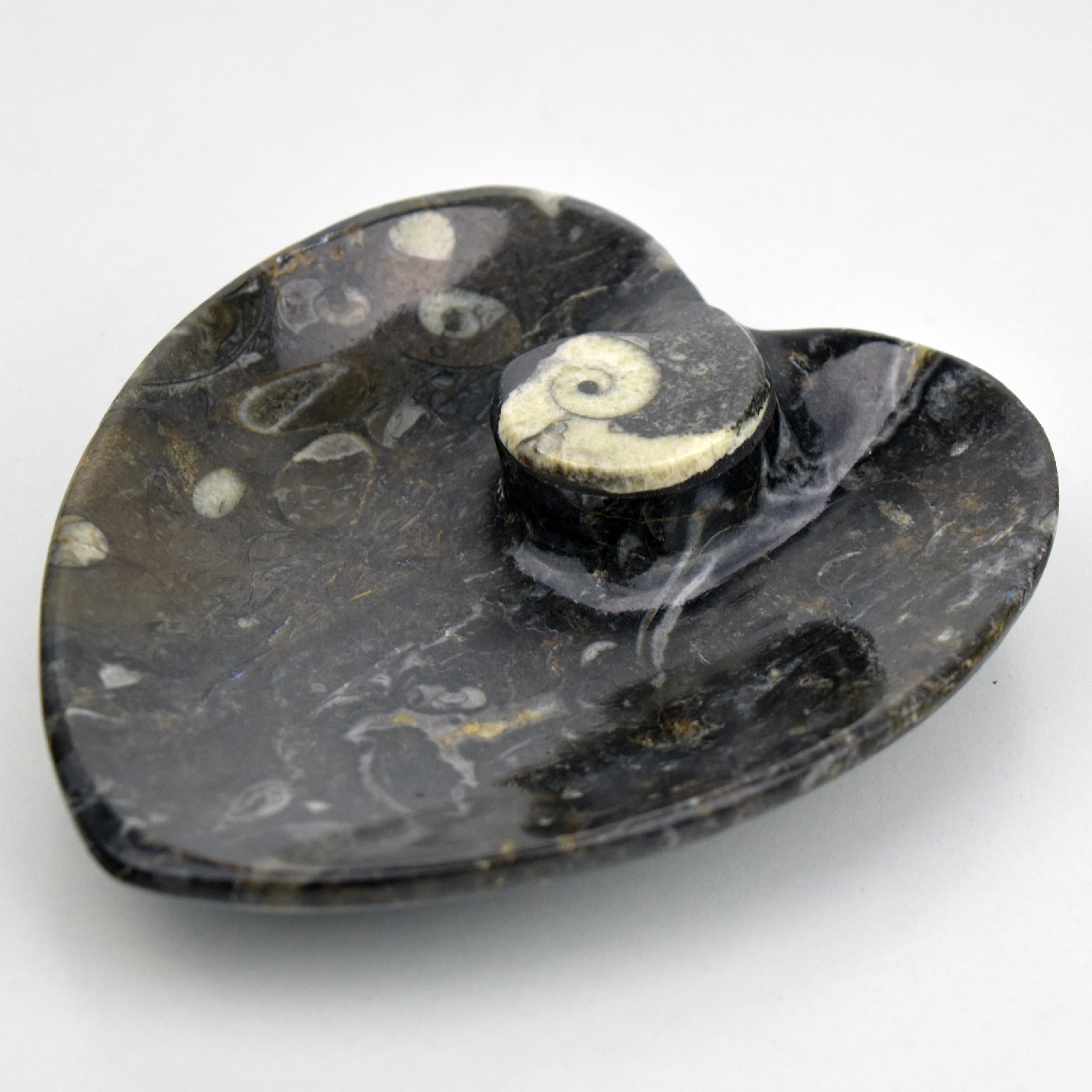 A lovely heart shaped, finely carved and polished vide poche with a centered ammonite and other specimen.