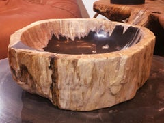 Großer versteinerter Aschenbecher