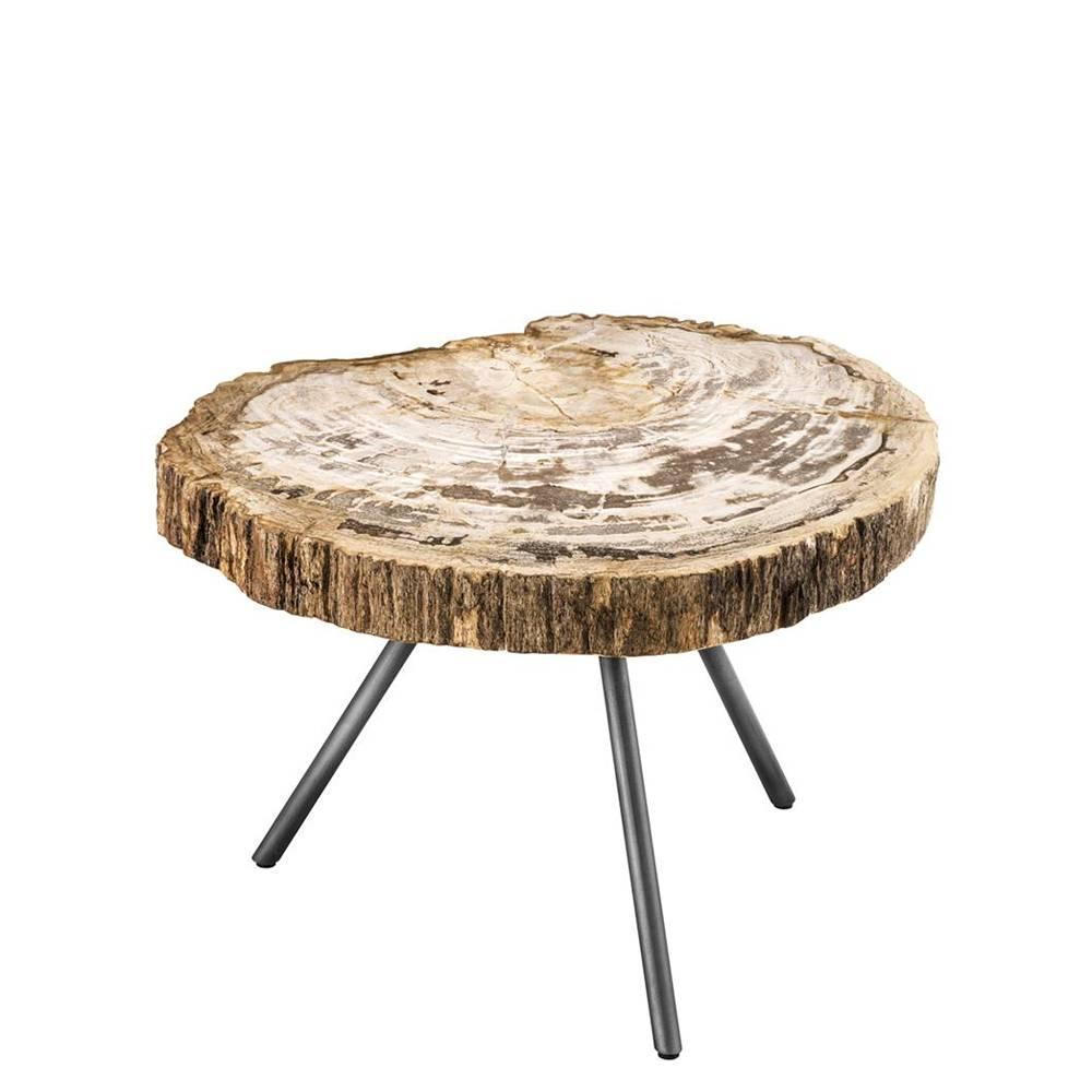 Indonesian Petrified Wood Clear Slices Set of 3 Coffee Table For Sale