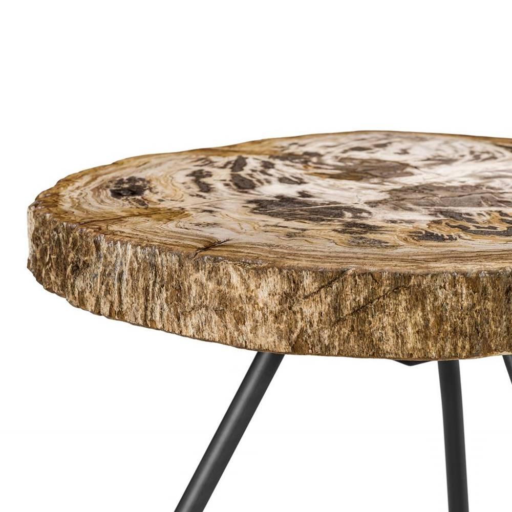 Petrified Wood Clear Slices Set of 3 Coffee Table In Excellent Condition For Sale In Paris, FR