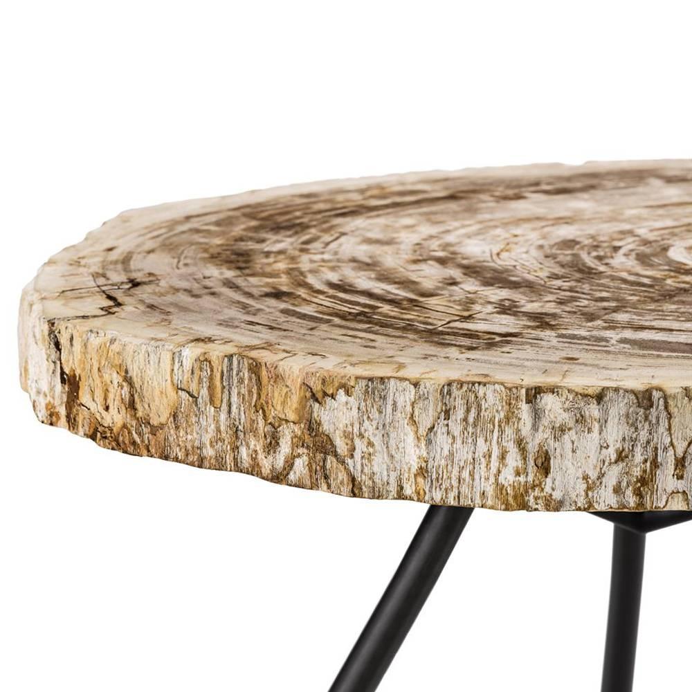 Contemporary Petrified Wood Clear Slices Set of 3 Coffee Table For Sale