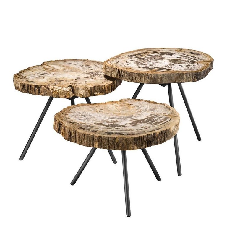 Petrified Light Wood Slices Set Of Three Coffee Table For At Petrified Light Wood Slices Set Of Three Coffee Table For