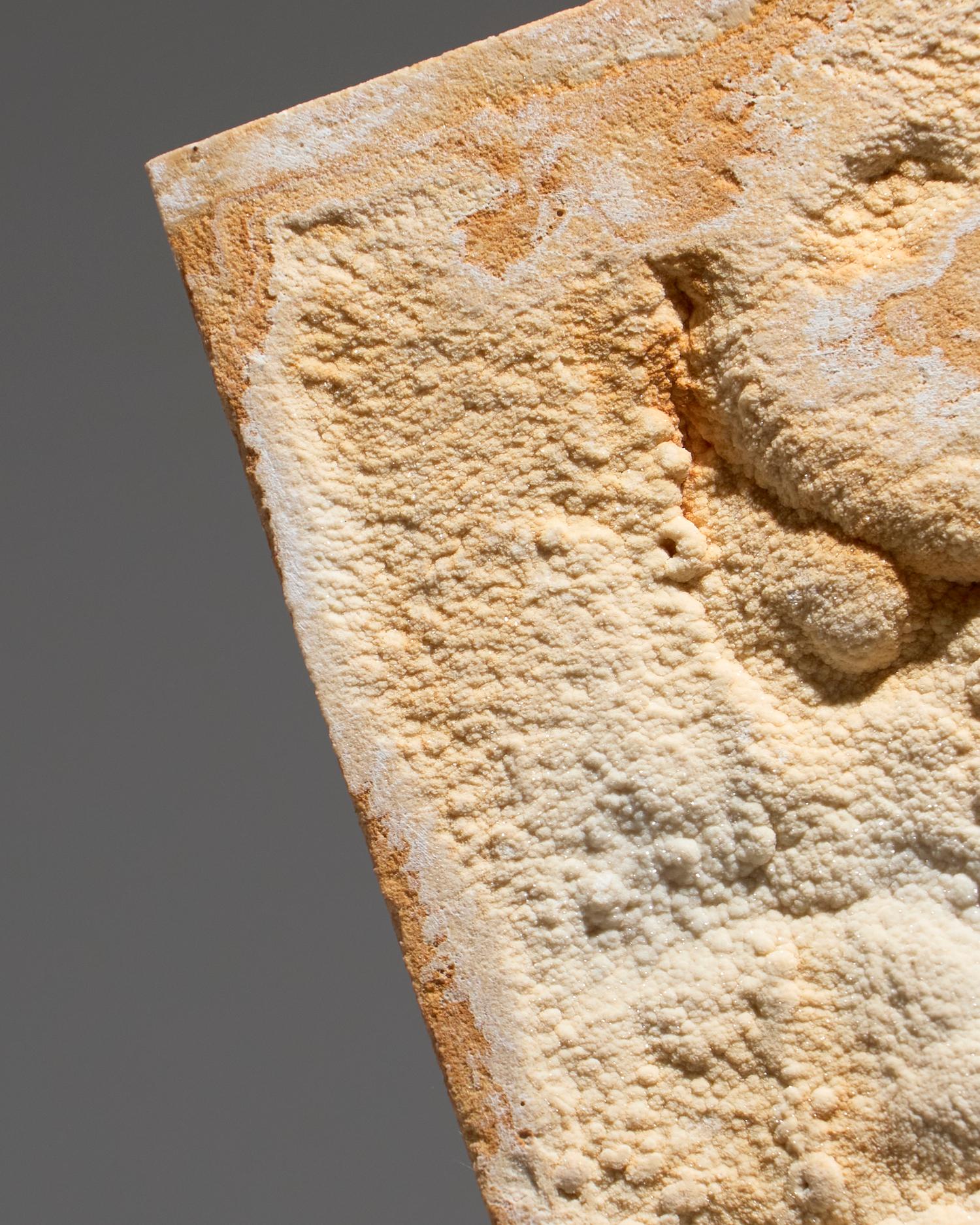 20th Century Petrified Limestone Bas-Relief Frame, 1960s For Sale