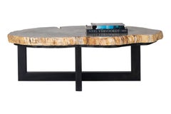 Table basse en dalles pétrifiées sur base en acier