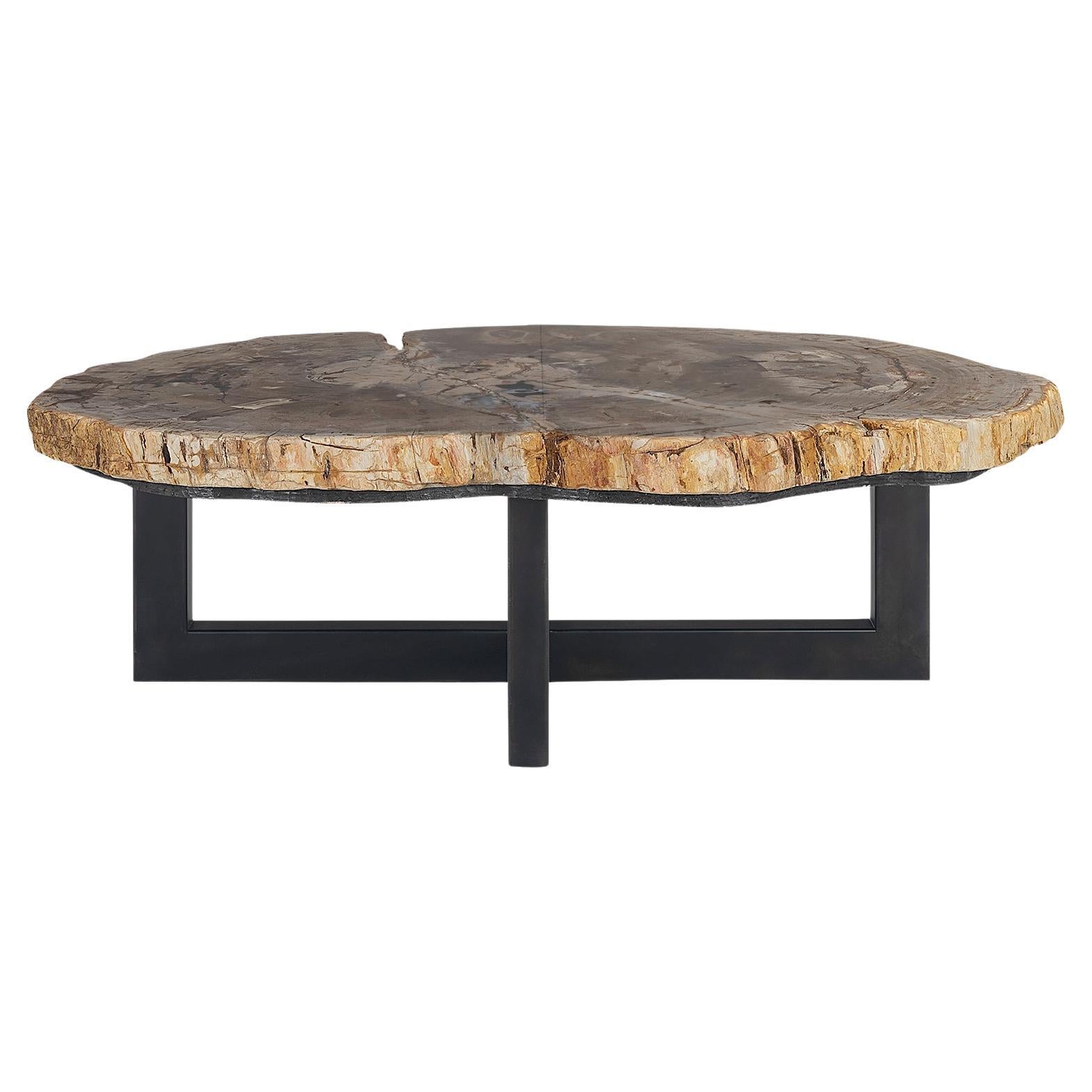 Petrified Slab on Steel Base Coffee Table For Sale