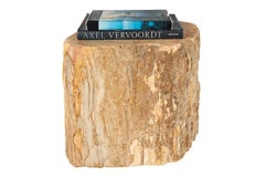 Petrified Stump Wood End Table