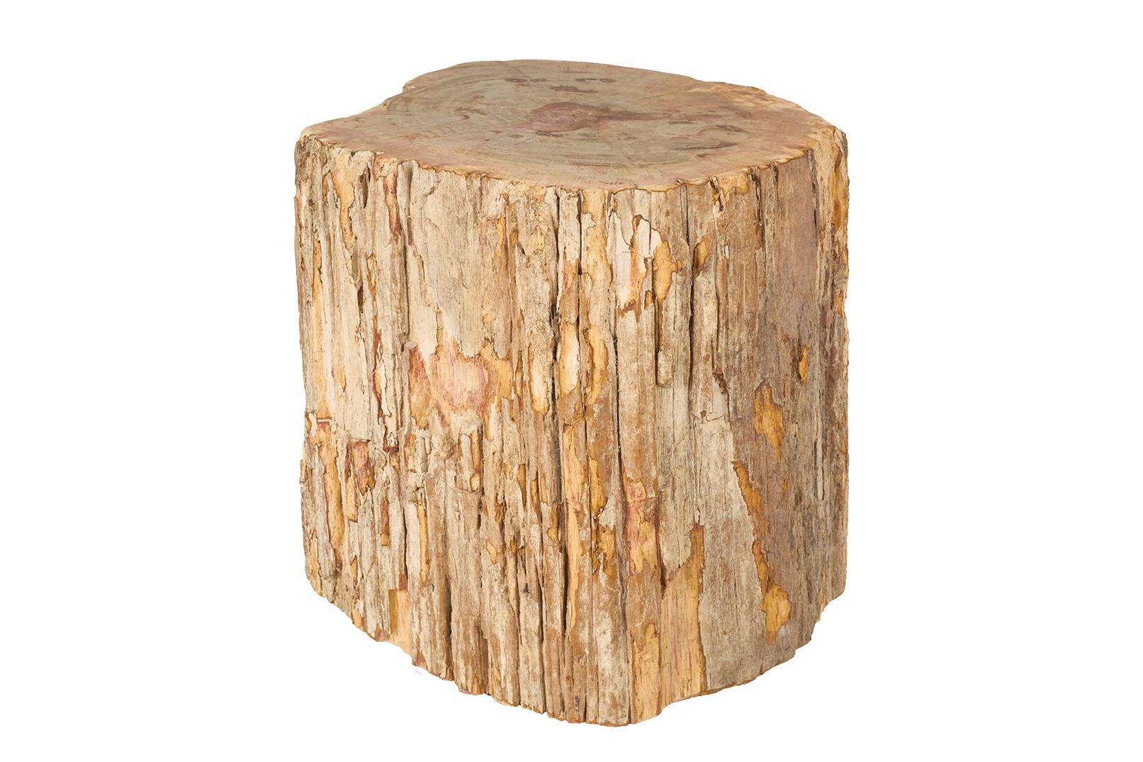 Organique Table d'extrémité en bois pétrifié en vente