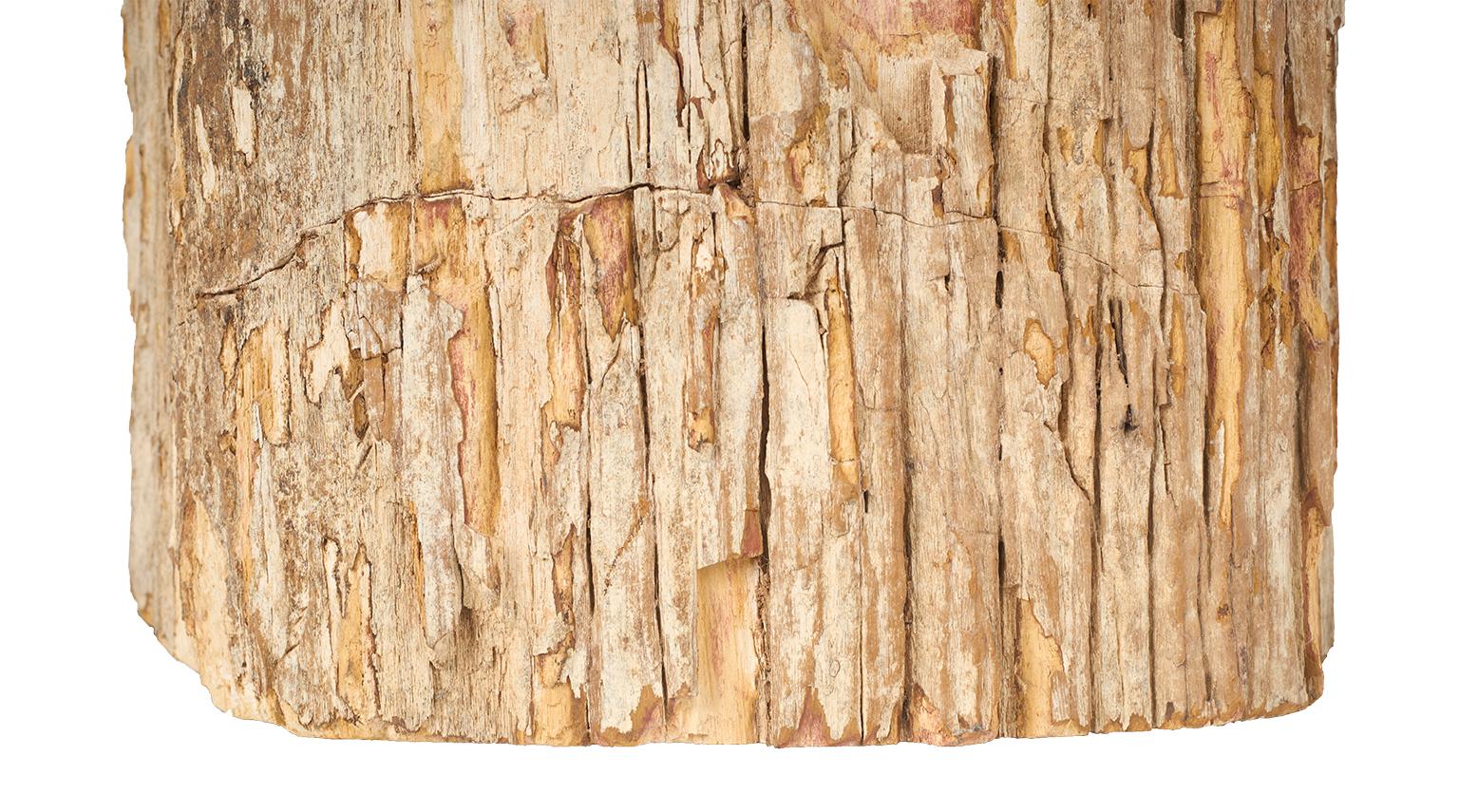 Table d'extrémité en bois pétrifié en vente 1