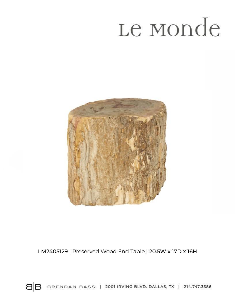 Table d'extrémité en bois pétrifié en vente 2