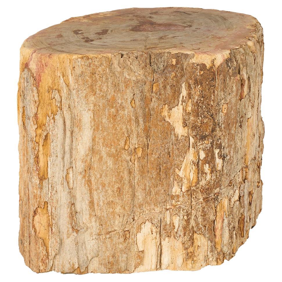 Versteinerter Baumstumpf Wood End Table