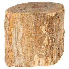 Petrified Stump Wood End Table