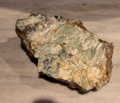 Petrified Tree Fossil in Greenish Colours