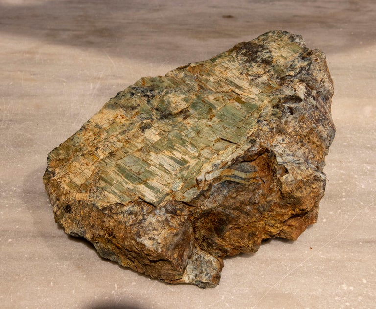 Petrified Tree Fossil in Greenish Colours For Sale at 1stDibs