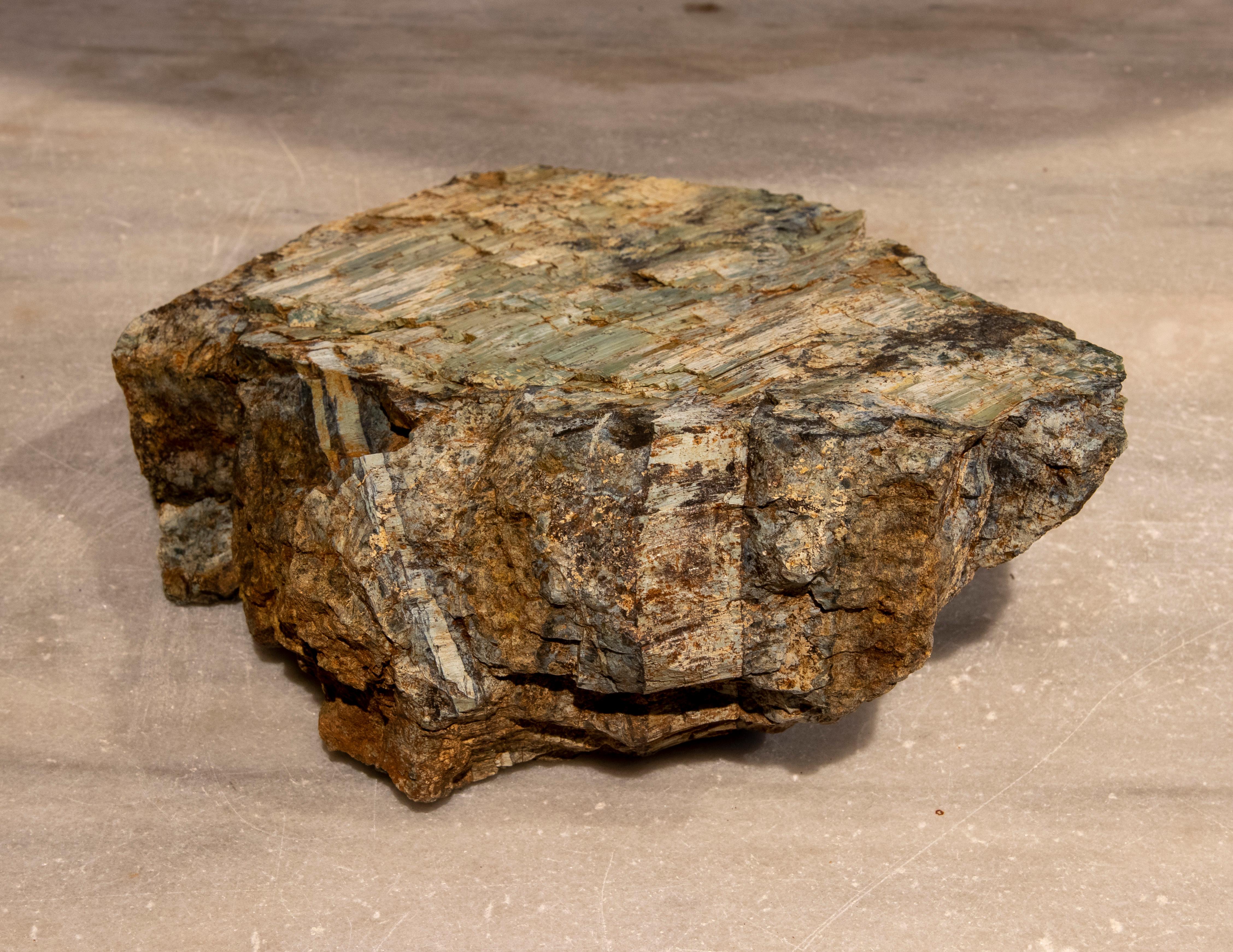 Petrified Tree Fossil in Greenish Colours In Good Condition In Marbella, ES