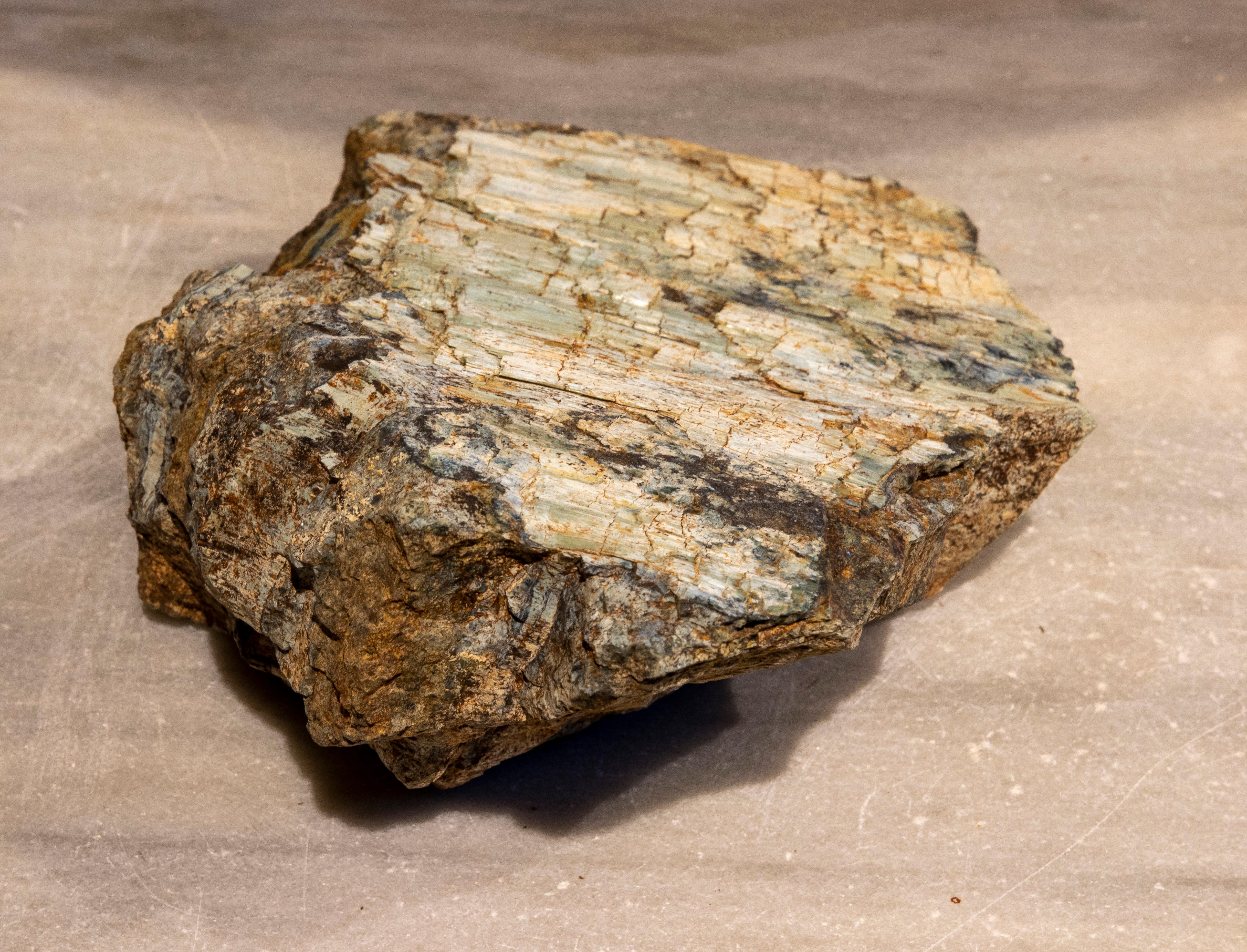 18th Century and Earlier Petrified Tree Fossil in Greenish Colours