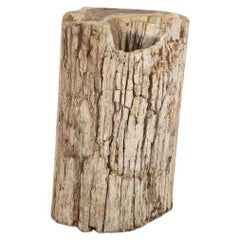 Antique Petrified Tree Stump