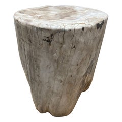 Versteinertes Holz 2, Triassic Periode