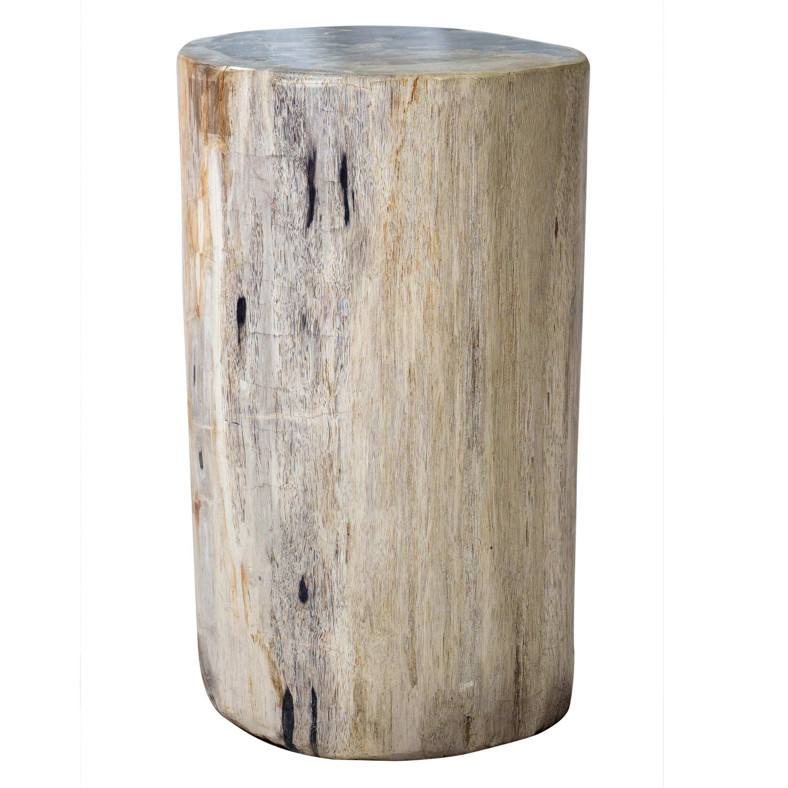 Petrified Wood Accent Table 3
