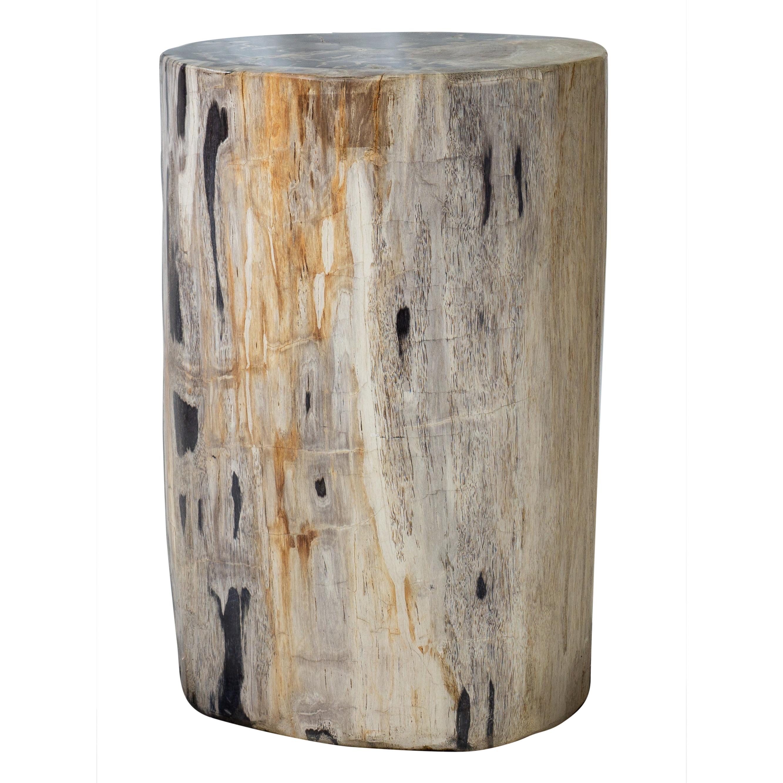 Petrified Wood Accent Table 4
