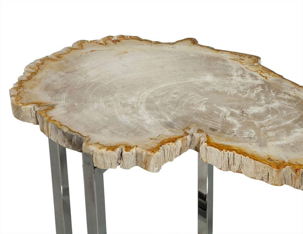 Modern Petrified Wood Accent Table