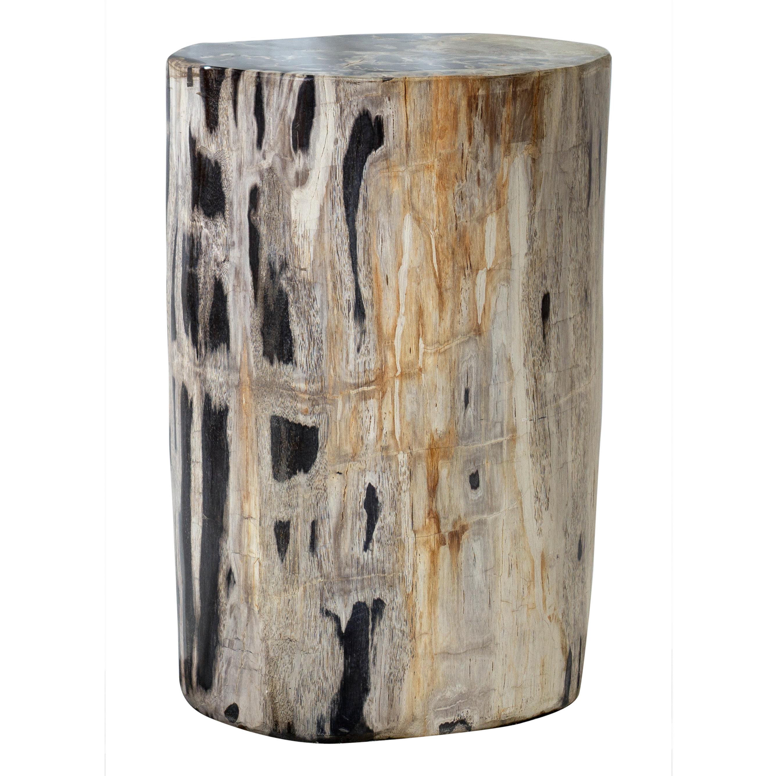 Organic Modern Petrified Wood Accent Table