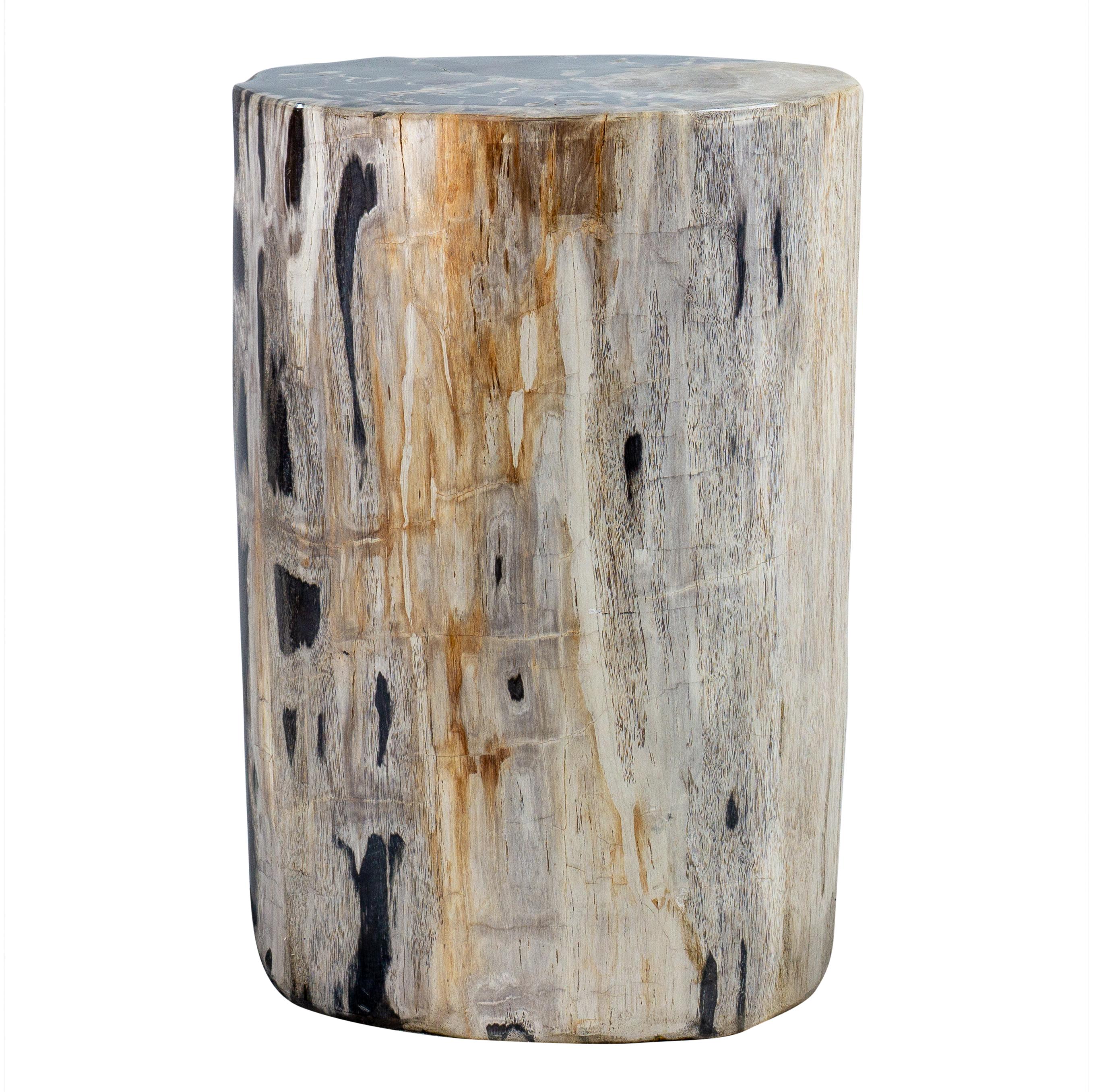 Indonesian Petrified Wood Accent Table