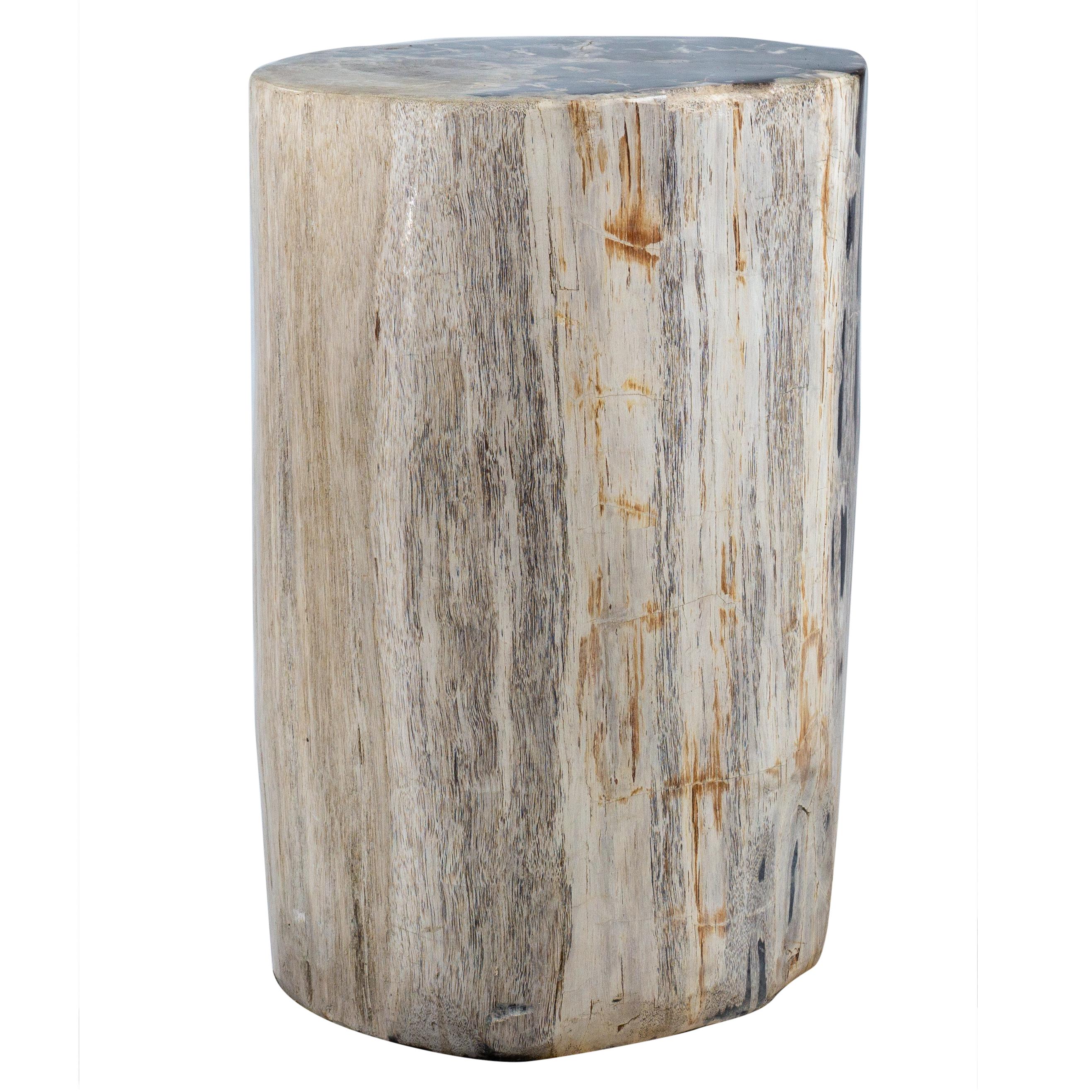 Polished Petrified Wood Accent Table