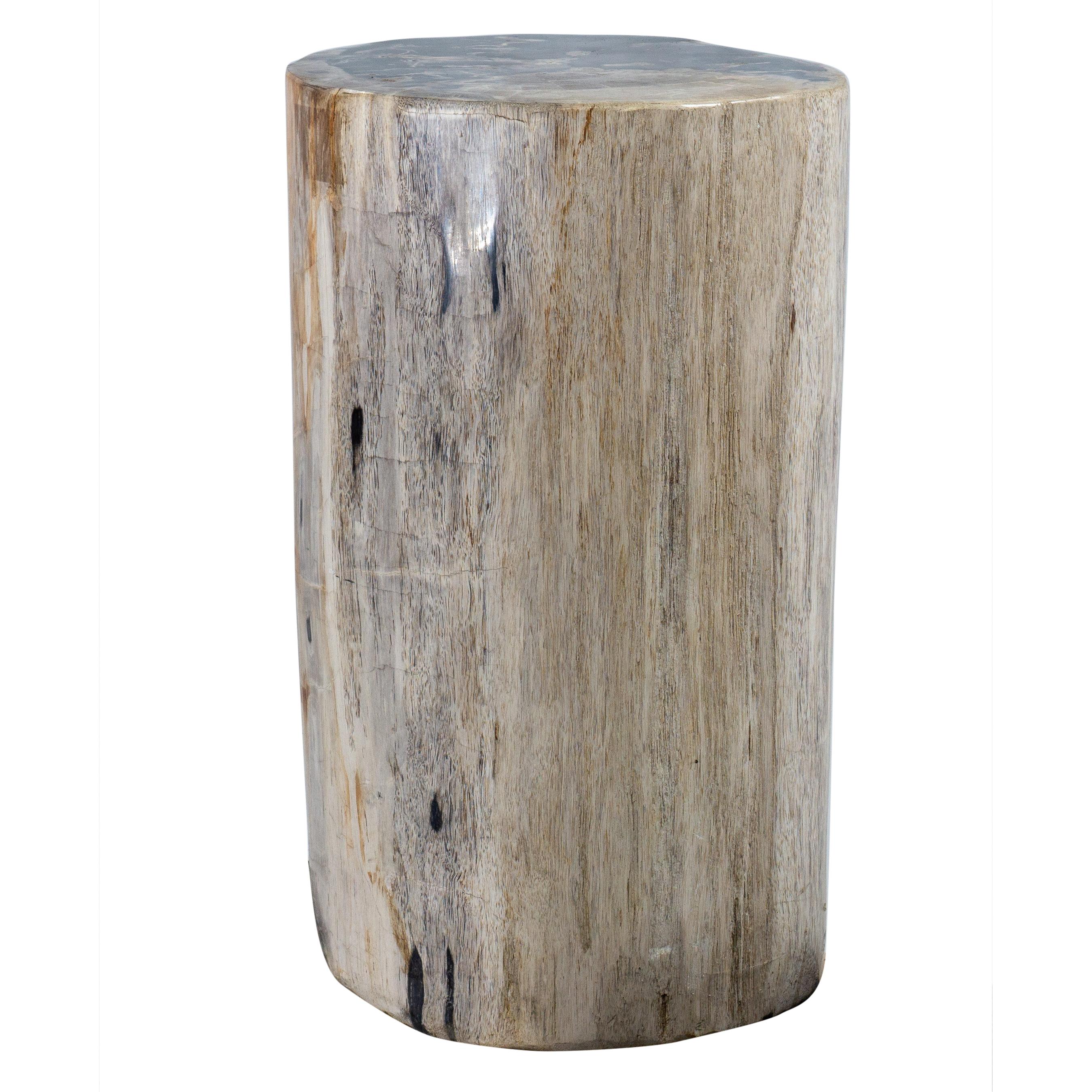 Petrified Wood Accent Table In Excellent Condition In Feasterville Trevose, PA
