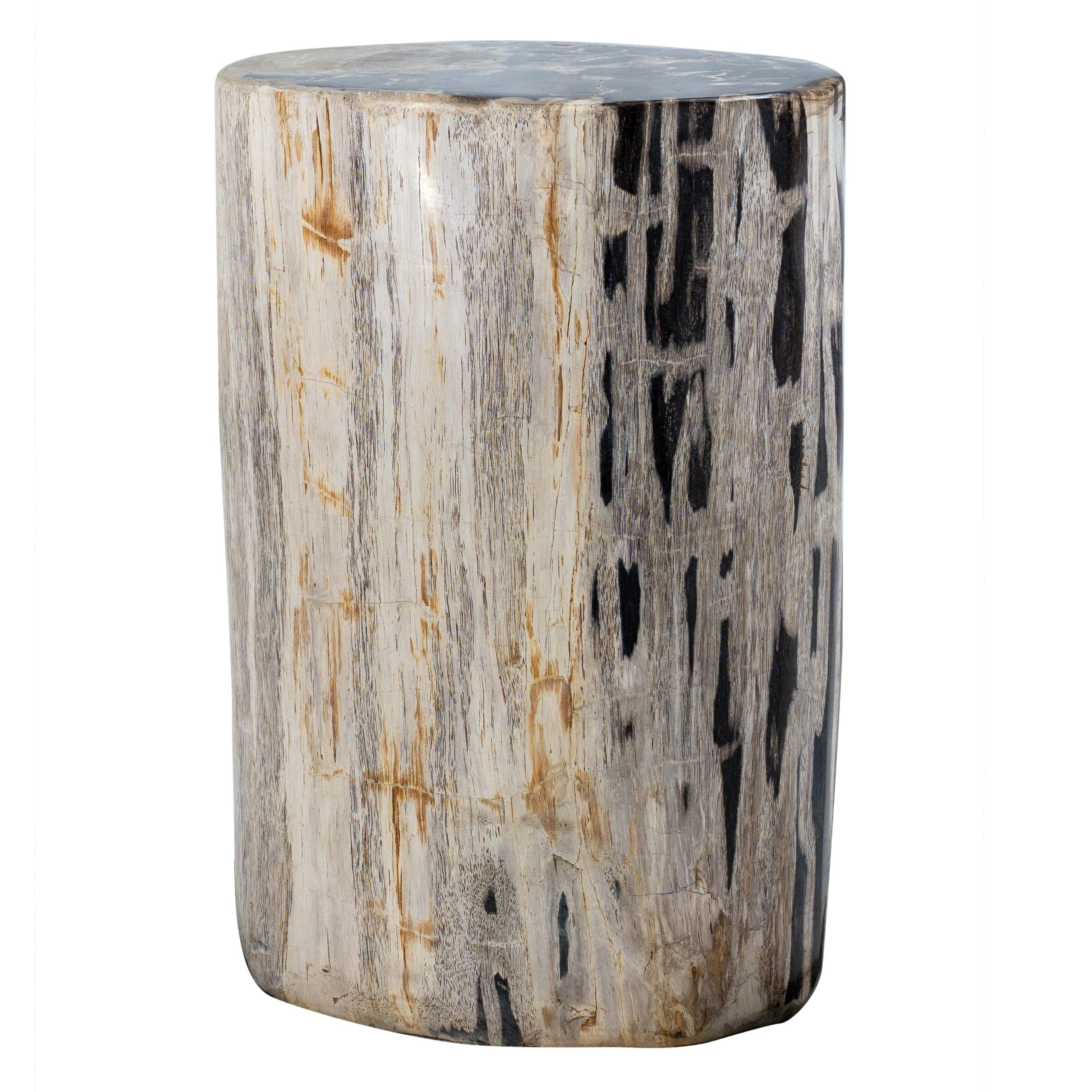 Contemporary Petrified Wood Accent Table