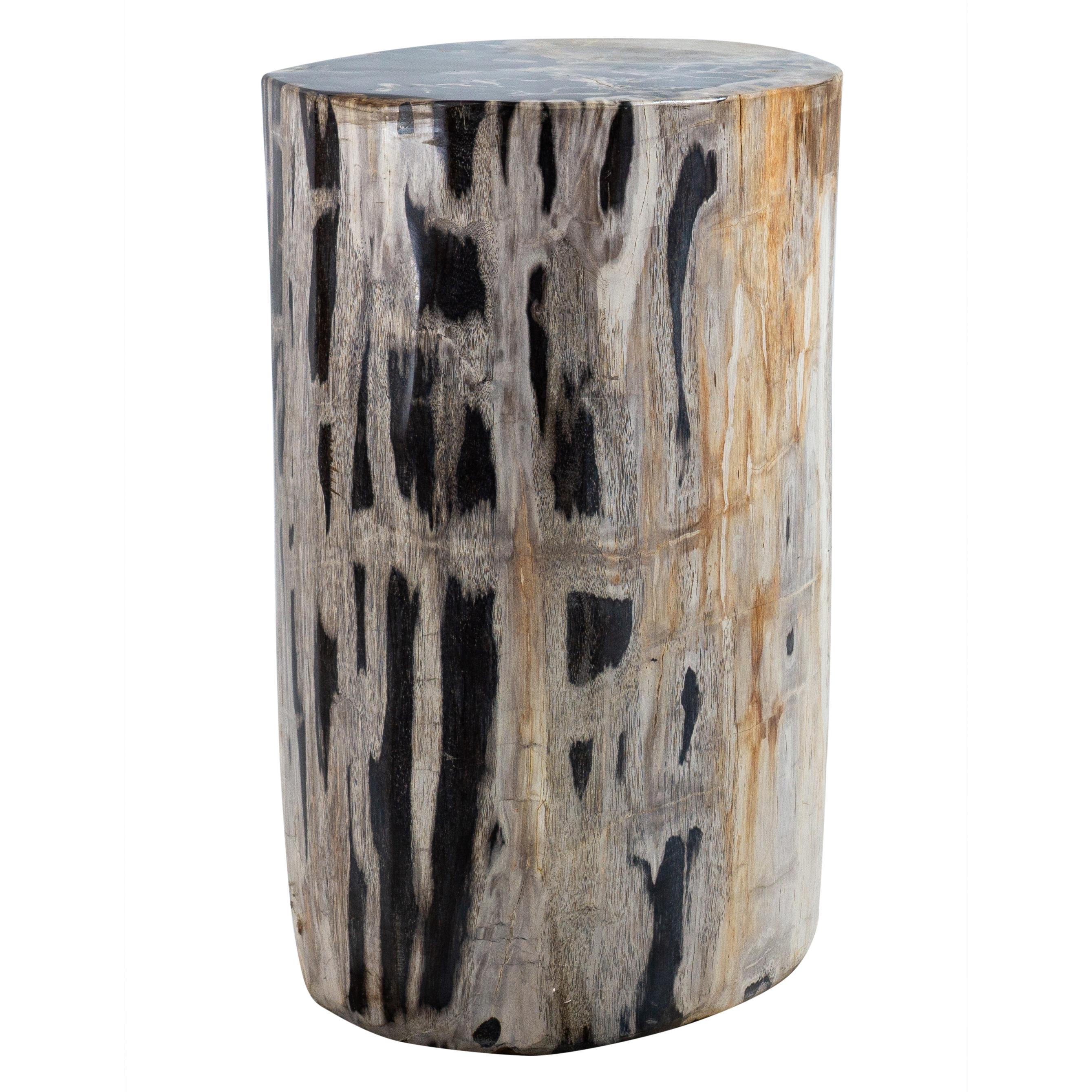 Petrified Wood Accent Table 1