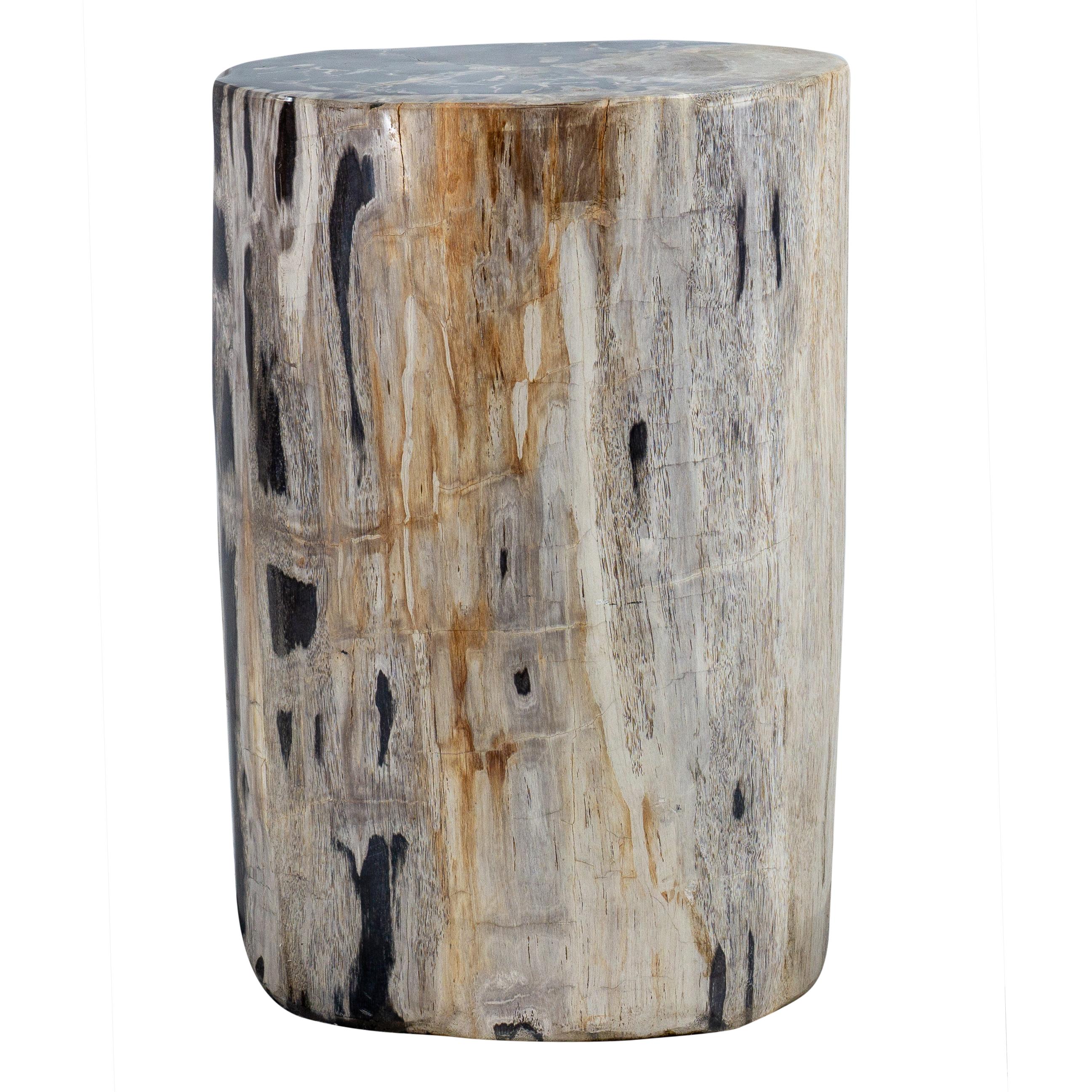 Petrified Wood Accent Table 2