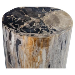 Mesa auxiliar de madera petrificada