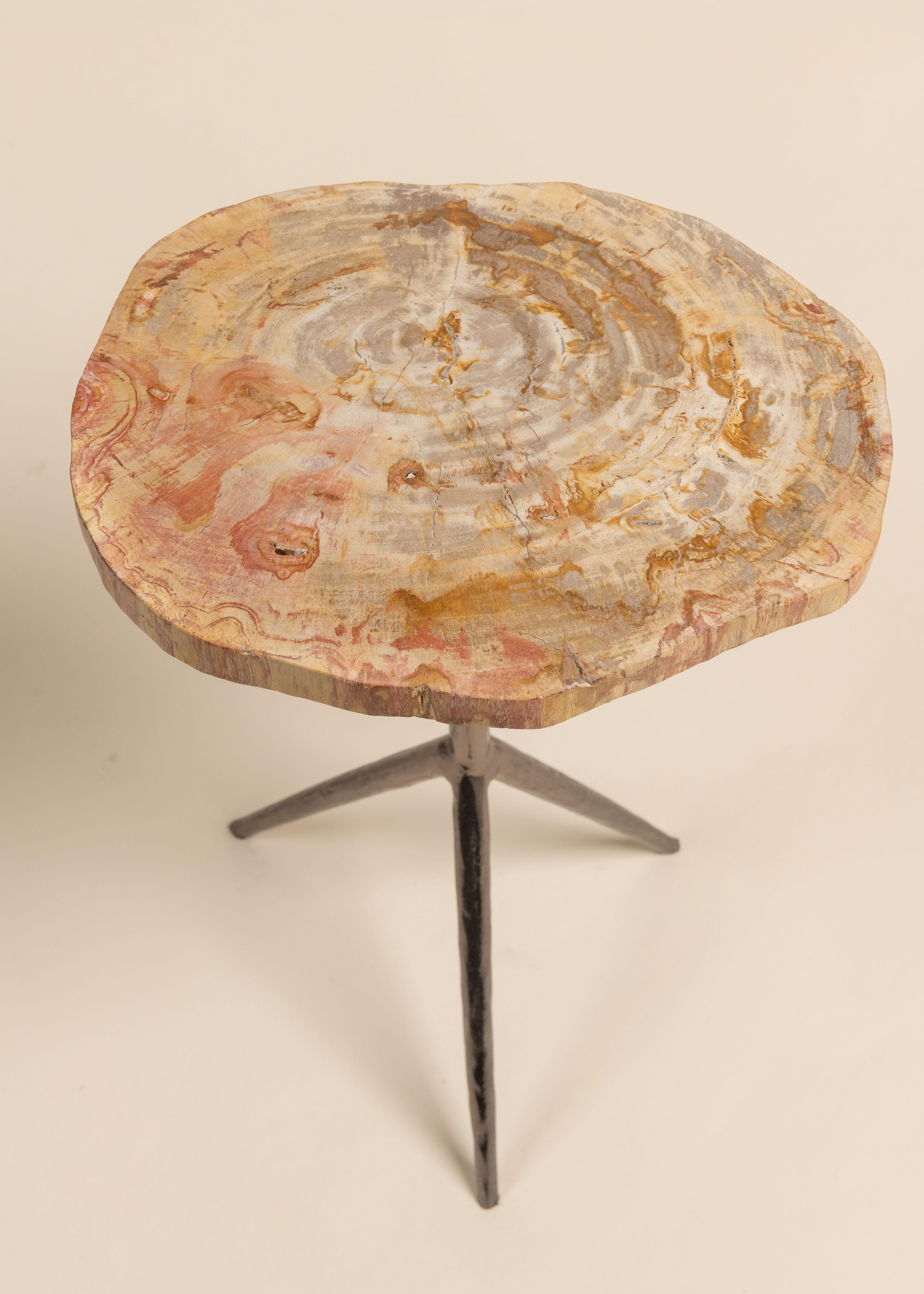 Petrified Wood and Iron Tripod Side Table, Contemporary im Zustand „Gut“ im Angebot in San Francisco, CA