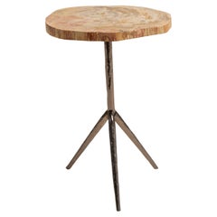 Petrified Wood and Iron Tripod Side Table, Contemporary