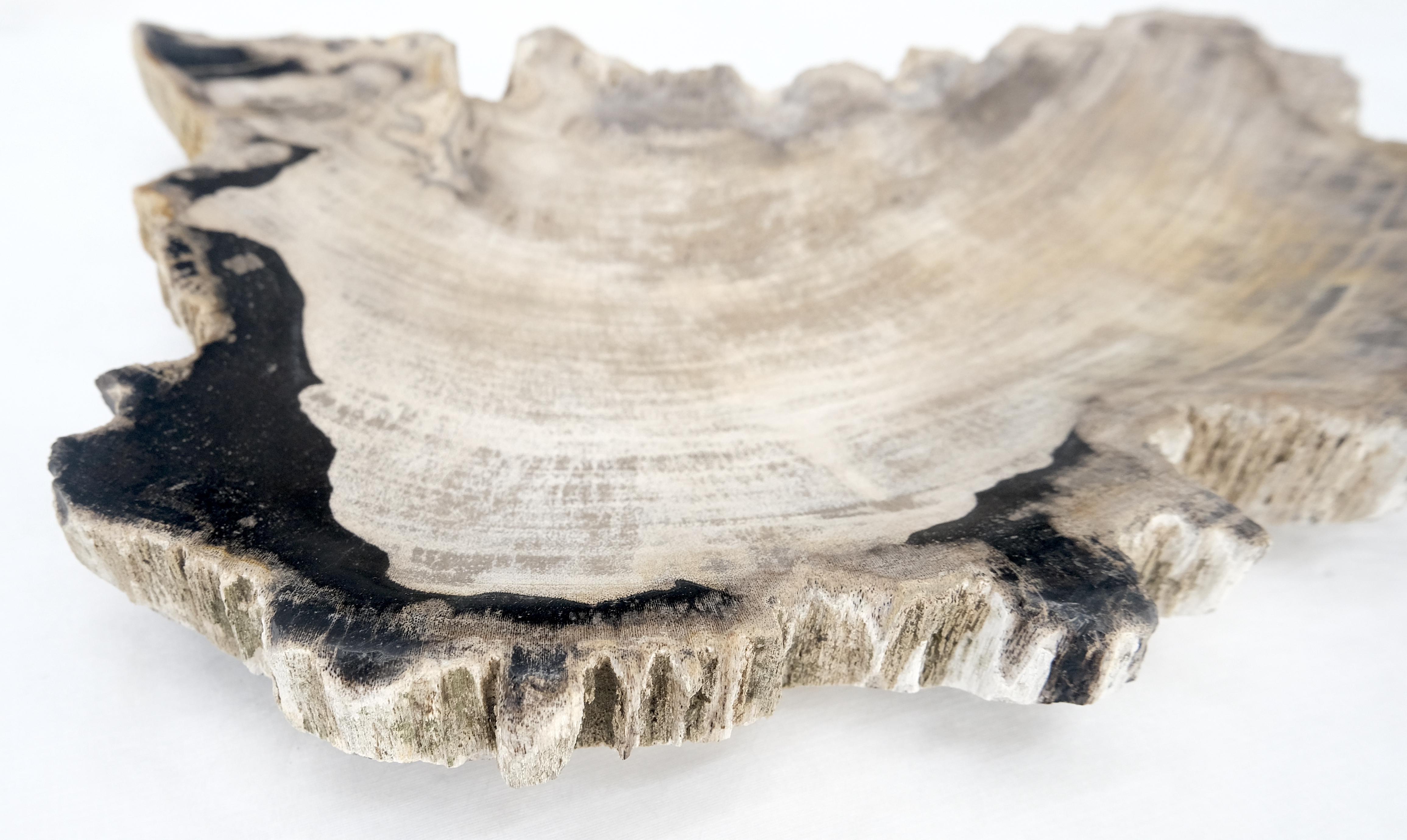 Petrified Wood Antarctica Shape Solid Black & Tanl Bowl Dish Large Plate Ashtray For Sale 3