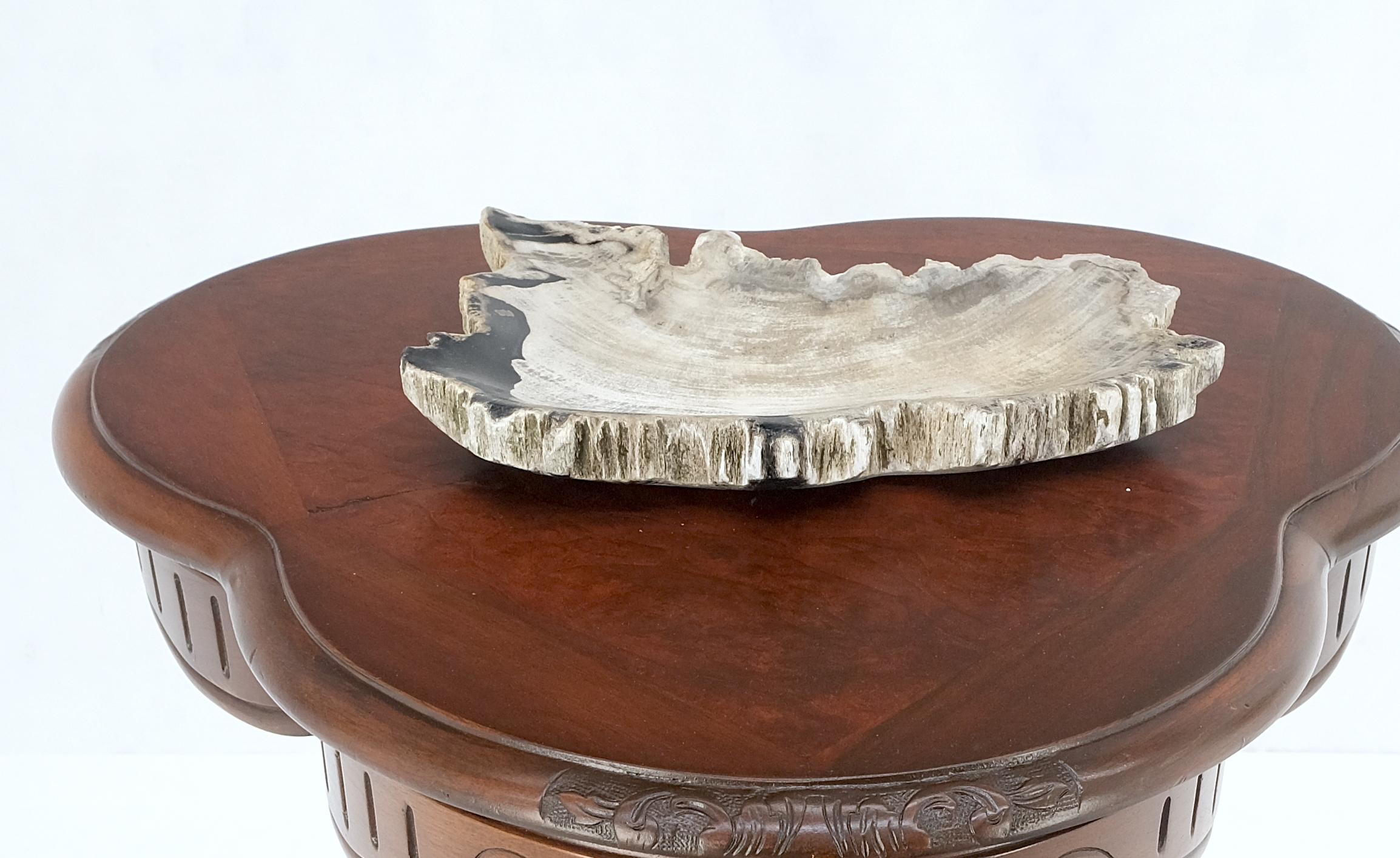 Petrified Wood Antarctica Shape Solid Black & Tanl Bowl Dish Large Plate Ashtray For Sale 6
