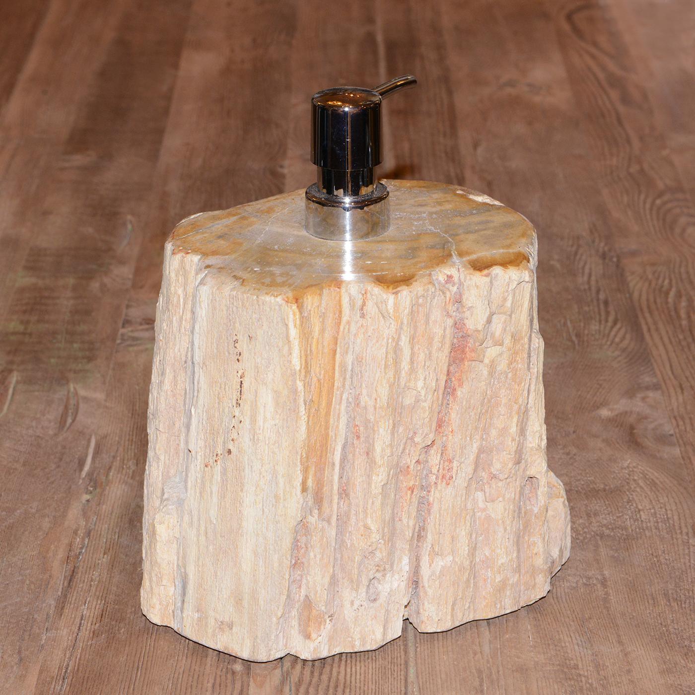 Indonesian Petrified Wood B Soap Dispenser For Sale